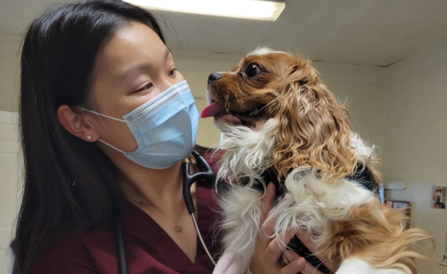 Women with mask holding dog